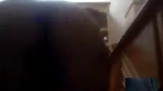 شرارتی امریکہ سے خوبصورت مایا مونا کے ساتھ کاؤگرل سیکس