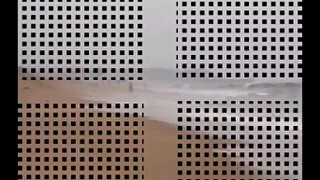 سکور لینڈ سے سیکسی روبی او کونر کے ساتھ ٹرمڈ بلی فلم